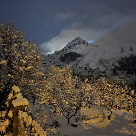 Ludogite Graine De Jeux *